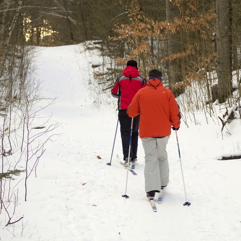 Two people cross-country skiing on the Canaraska Forest Centre ski trails