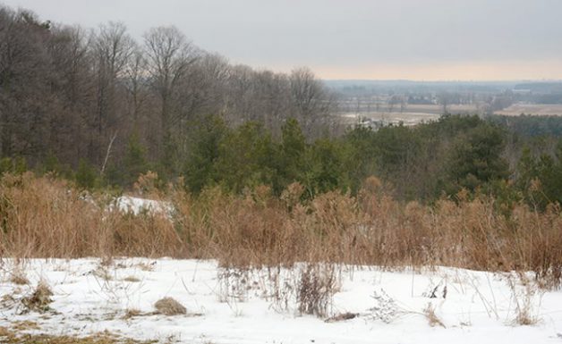 A view of Lake Ontario from Purple Woods Conservation Area
