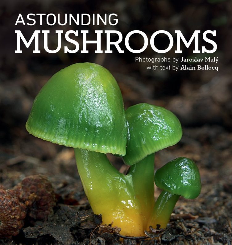 Astounding Mushrooms bookcover