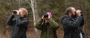 Rebecca_Sandra_and_Noah_Foley_Mountain_CA_Westport_Christmas_Bird_Count_14_12_2015_Noah_Cole_2_8063_banner.jpg