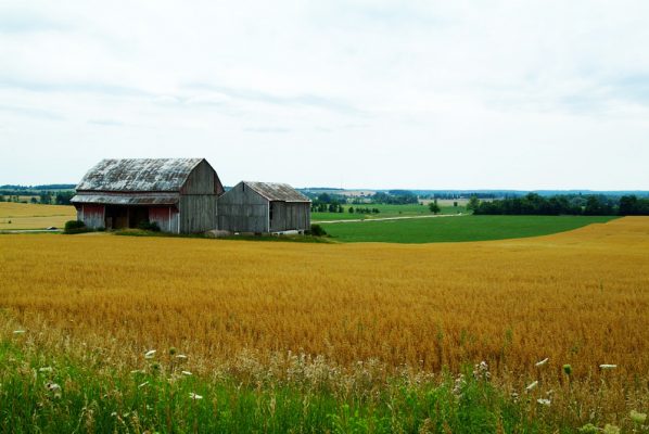 A farm house in a field in East Gwillimbury Ontario