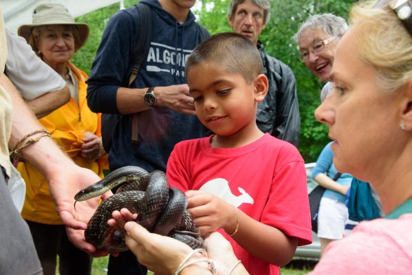 a child looking at a snake