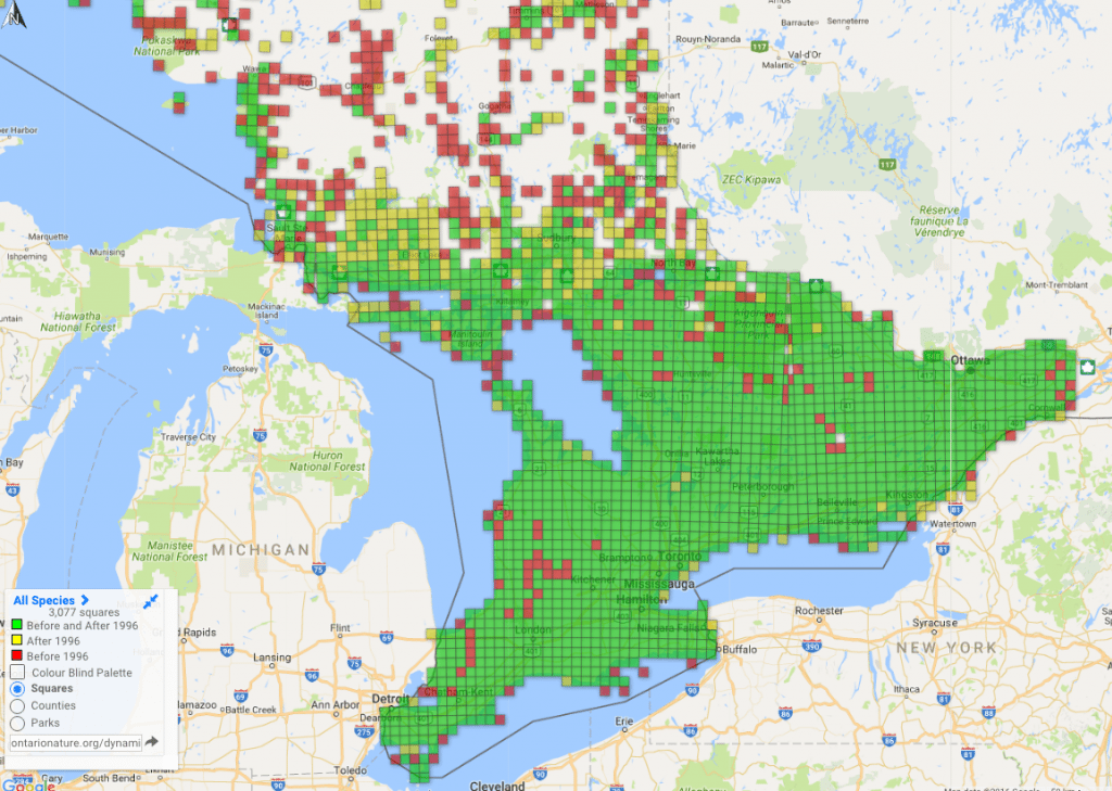 Dynamic range map of reptile and amphibian sightings in Ontario