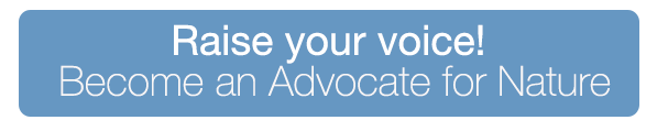 Raise your voice! Become an Advocate for Nature