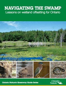 The cover photo for a document named: Navigating the swamp: lessons on wetland offsetting for Ontario.