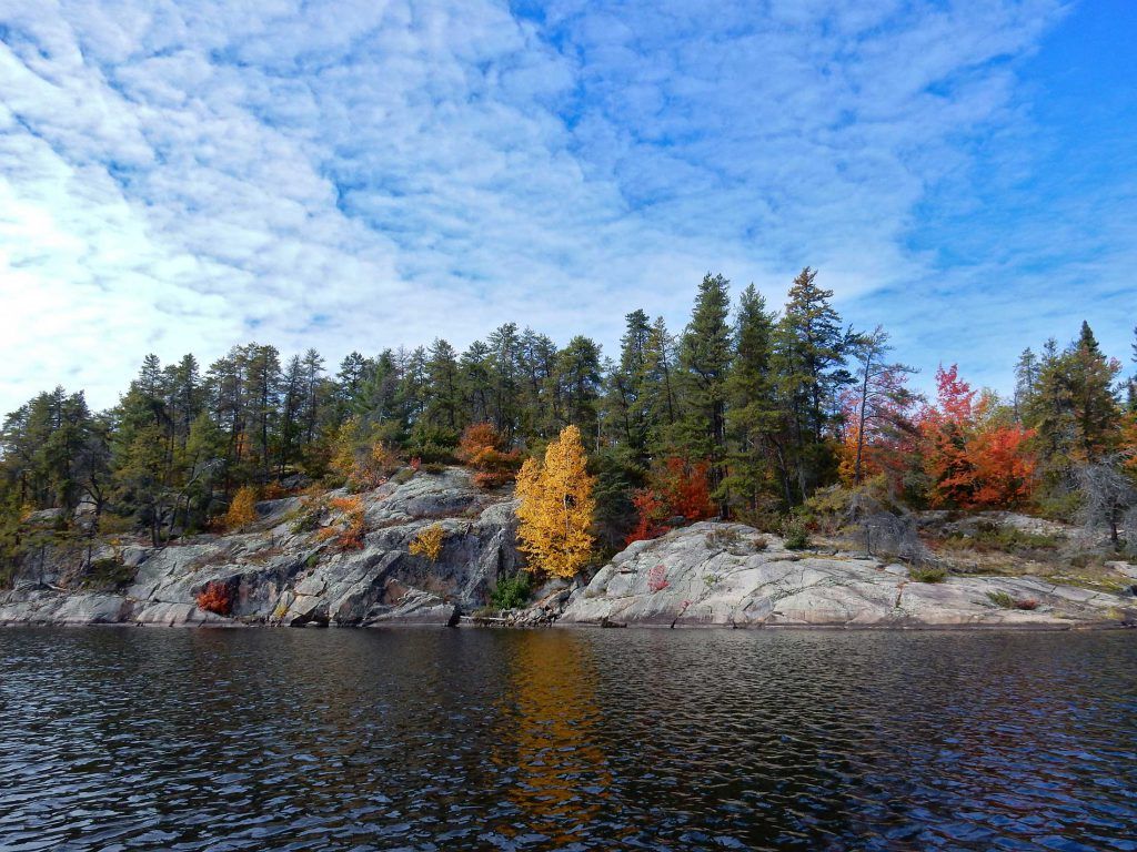 A Gift in Tribute Ontario Nature Donate to Protect Nature