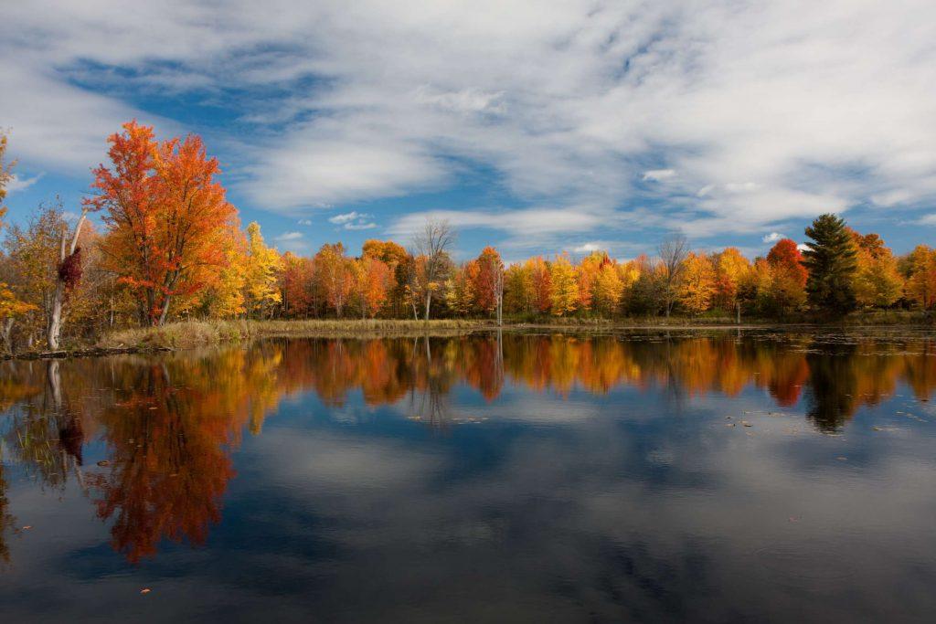 Ontario Nature Accessibility Policy Environmental Conservation in Ontario