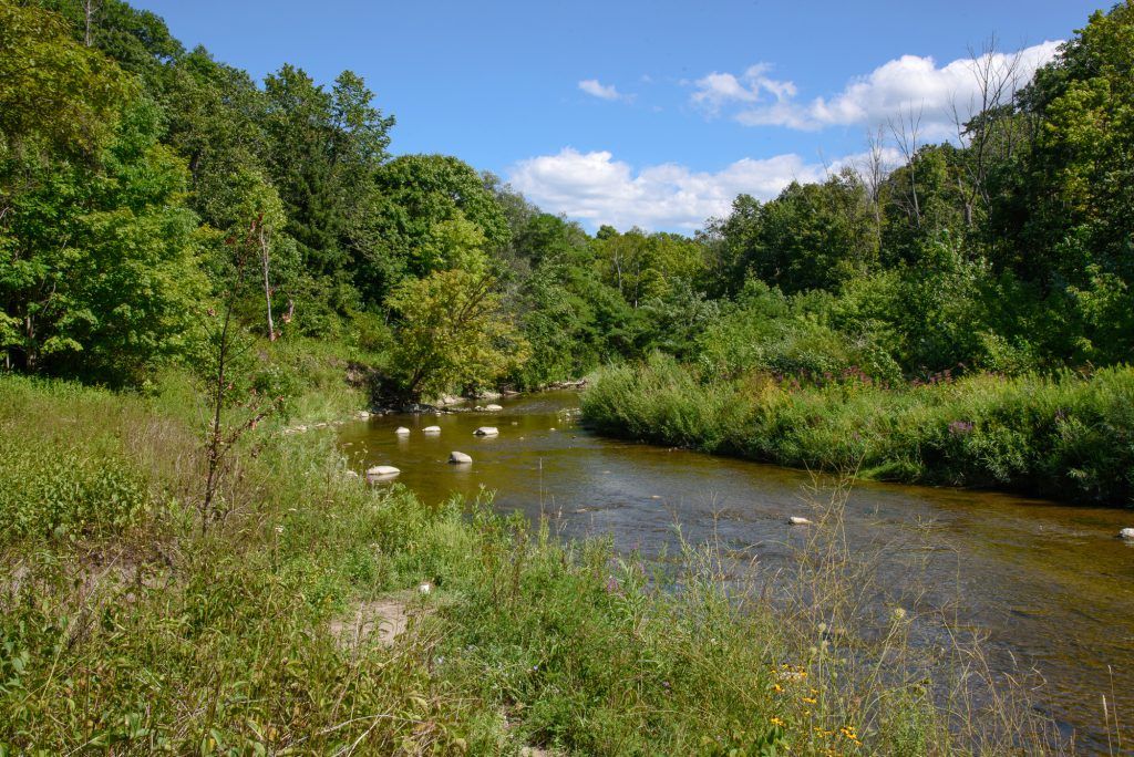 Rouge Park river