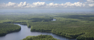 Boreal forest, aerial, Ontario, trees, water