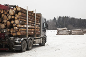 Logging truck loaded with logs, winter
