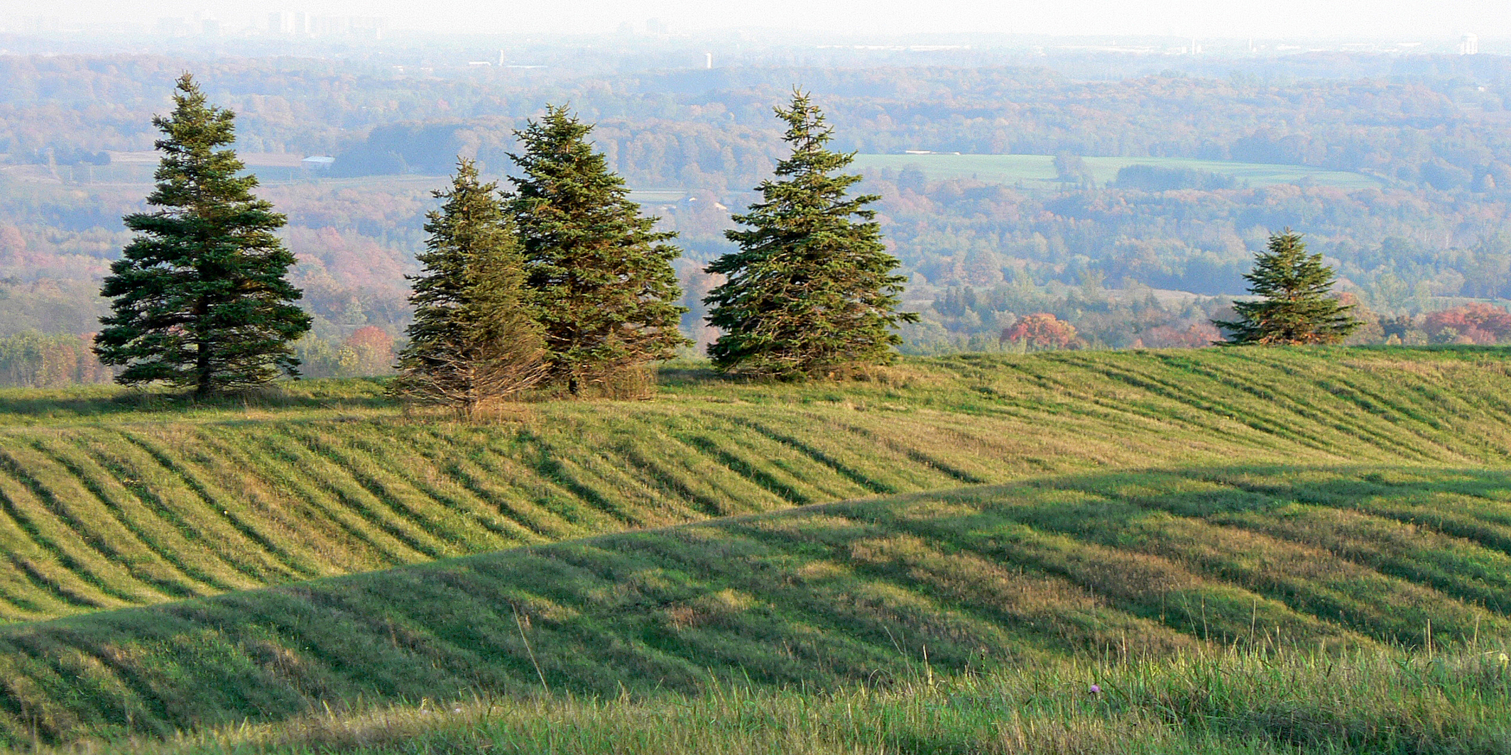 Scenic view looking towards a city from the Oak Ridges Moraine
