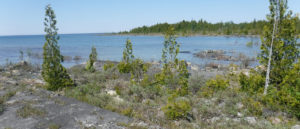 Baptist Harbour Nature Reserve shoreline