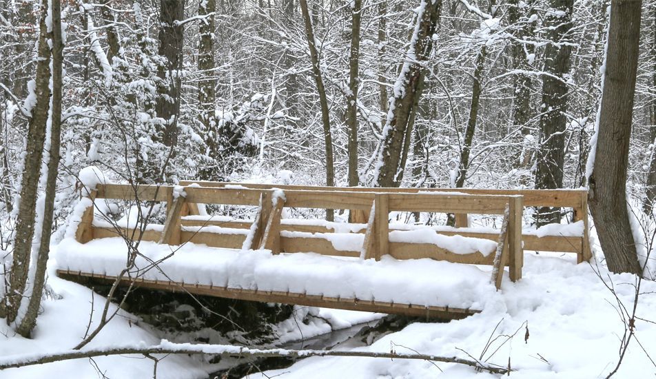 Bridge, Lawson Nature Reserve, winter snow