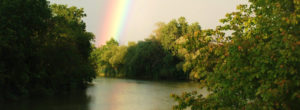 A beautiful rainbow above the Sydenham River