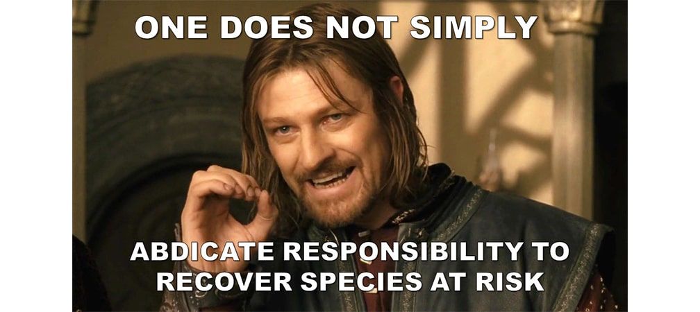LOTR meme - "One does not simply abdicate responsibility to recover species at risk