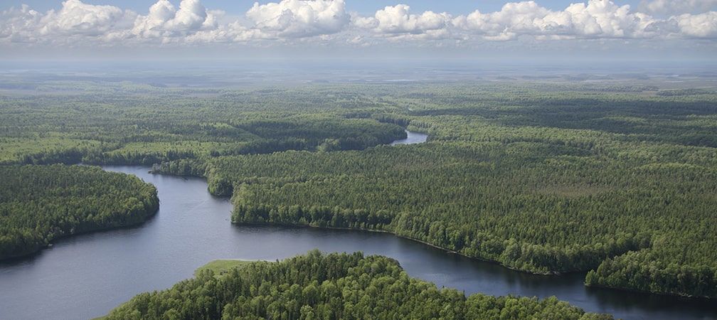 aerial view of northern boreal forest