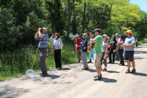 People on the road doing a BioBlitz at the Gerge G. Newton Nature Reserve