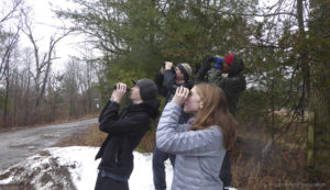 Teen naturalists birdwatching, Kingston Field Naturalists