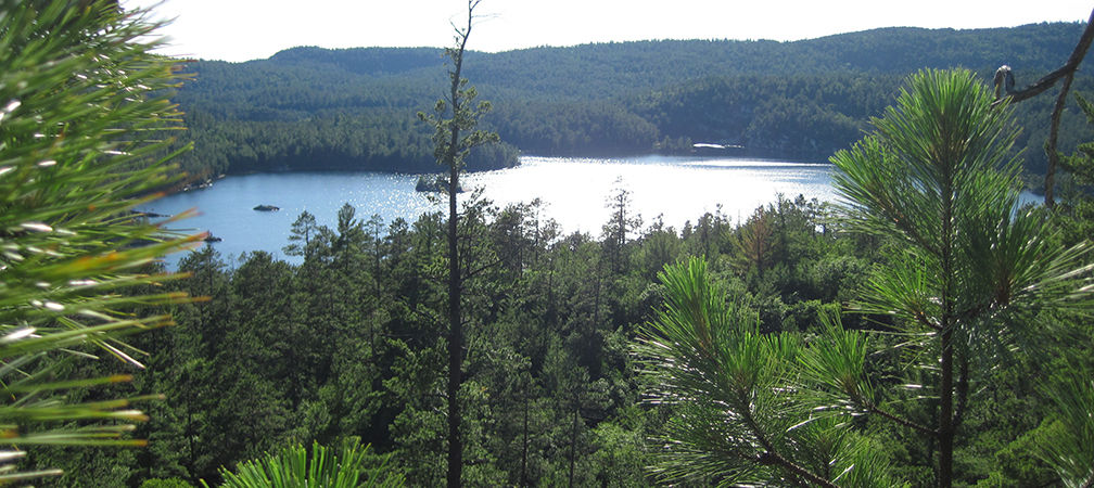 Wolf Lake, forest and lake from a lookout