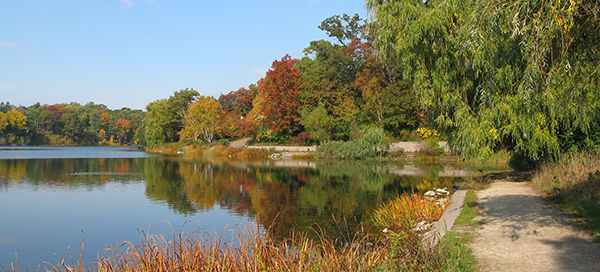 High Park, Grenadier Pond, Toronto 