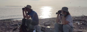 Gabby Z and James K Bird monitoring on Pelee Island