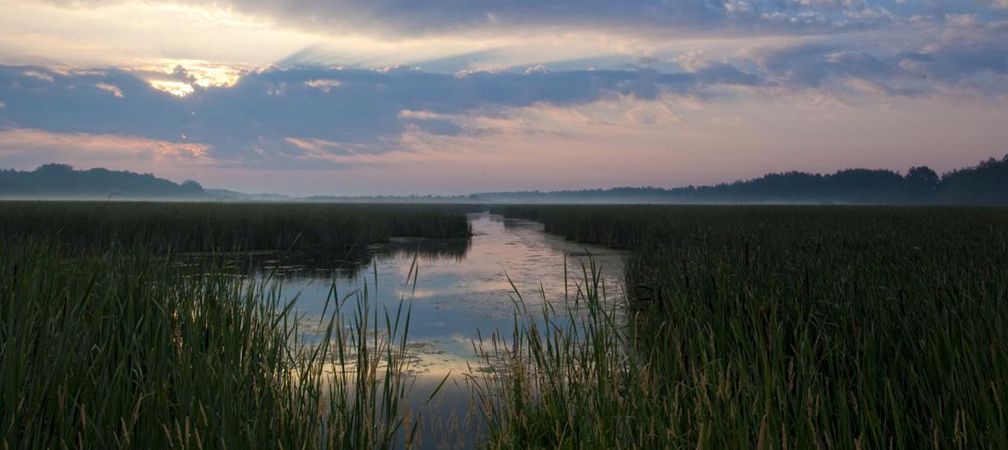 Mer Bleue bog wetland sunset