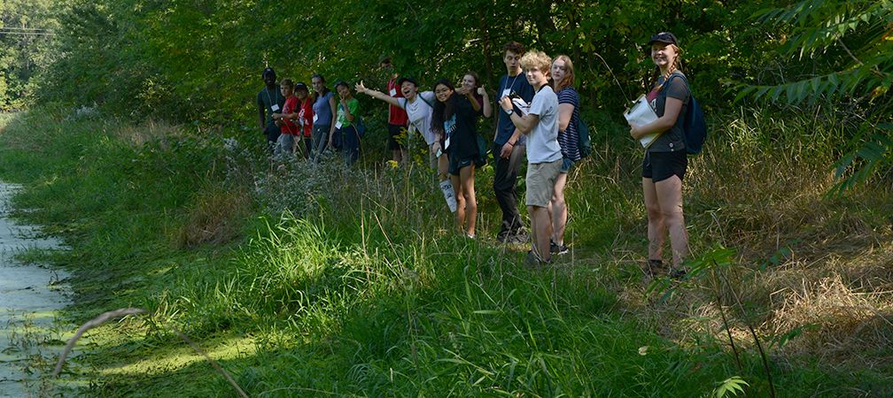 Vertablitz challenge, Youth Summit 2019, students and wetland