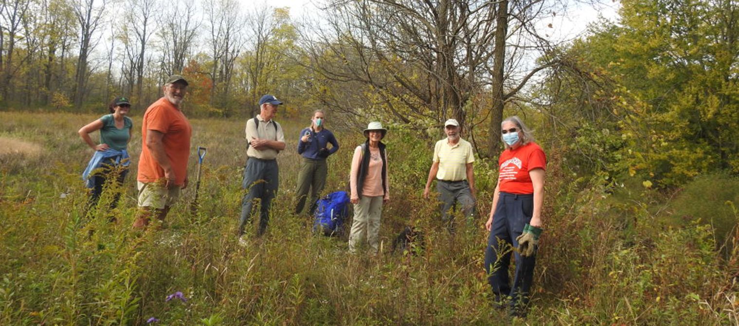 Tree-planting volunteers at Sydenham River Nature Reserve