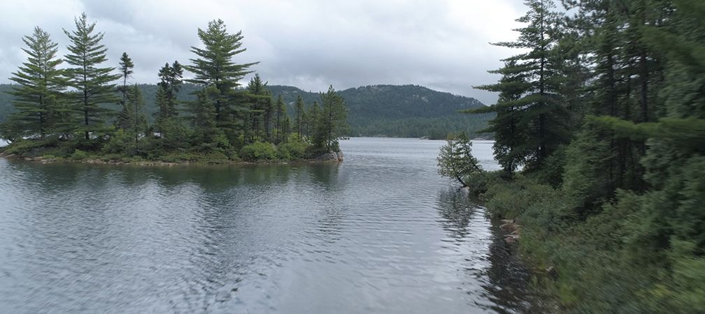 Wolf Lake, fresh water, islands, old growth pine forest 
