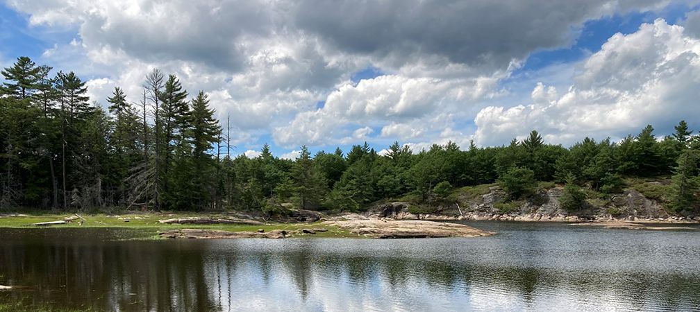 Protecting Roadless Areas: Our Best Shot at Maintaining Ecological ...