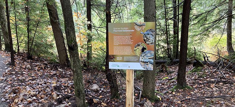 Interpretive signs are available along the accessible trail to help visitors identify plant and animal species found at the nature reserve