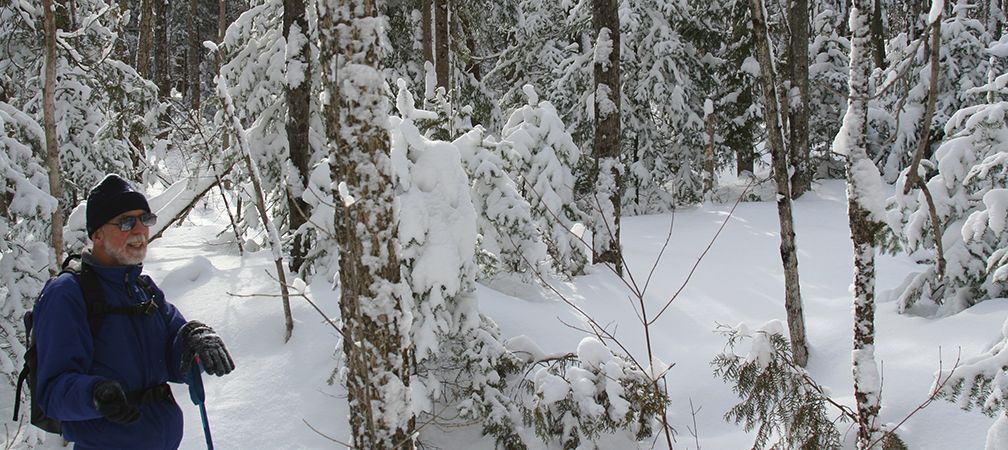 Cross-country skiing in Altberg Wildlife Sanctuary Nature Reserve