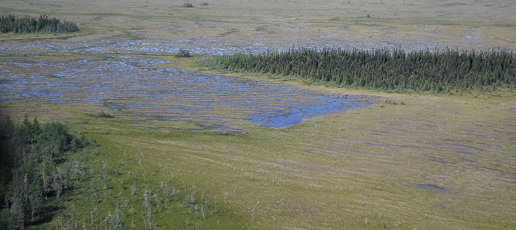 James Bay peatlands, imperiled, vulnerable, significant landscapes, far north
