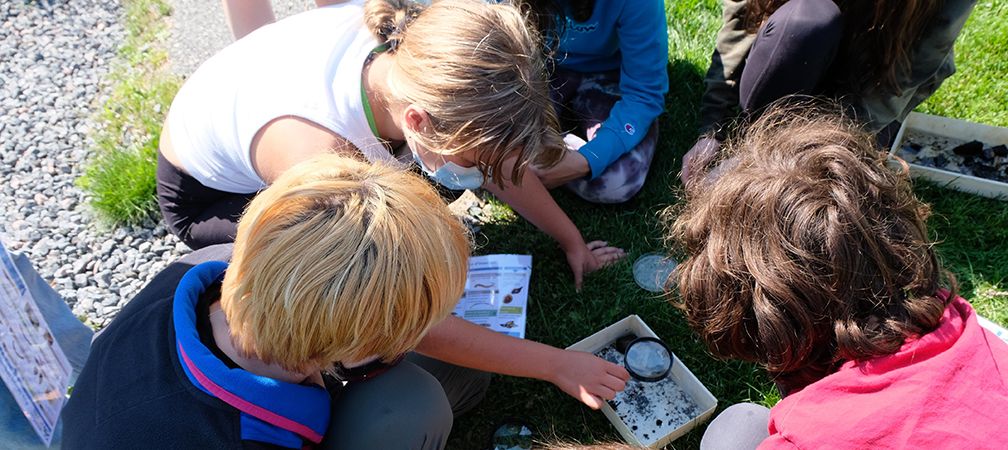 Empowering Youth for Junction Creek Bug ID, July 2021