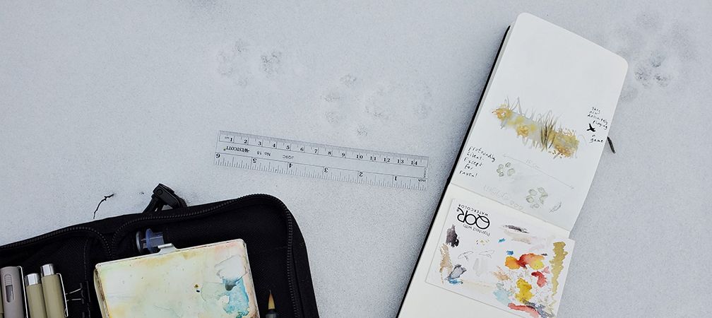 Otter tracks – Sketching helps you learn to recognize tracks