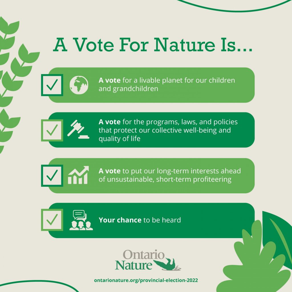Vote for Nature