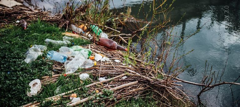 Plastic pollution along shore