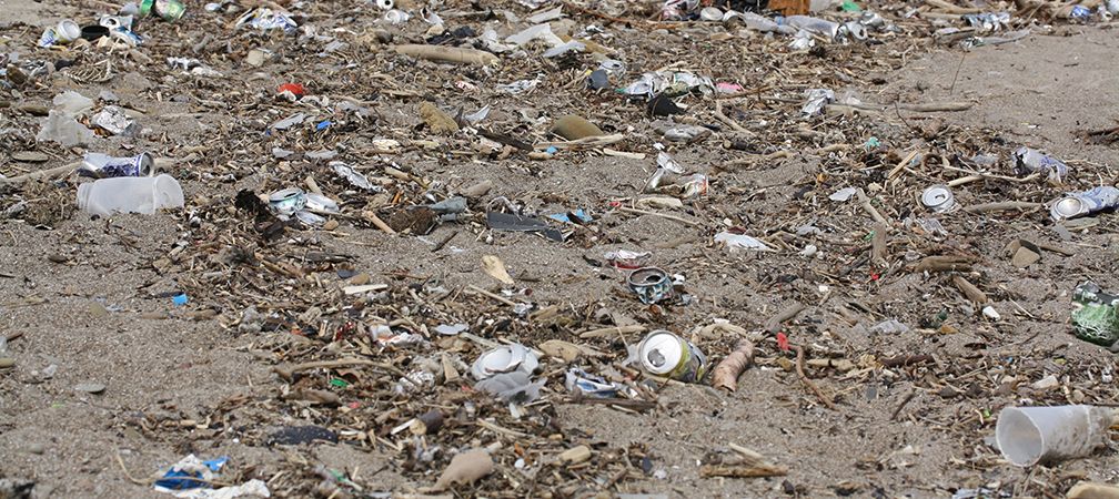 lots of Lake Ontario plastic waste 
