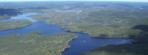 Wabakimi Provincial Park aerial view, spruce forest and beautiful extensive shoreline