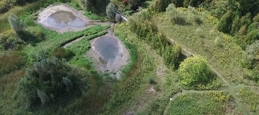 Cawthra Mulock Nature Reserve, wetlands, trails and forest