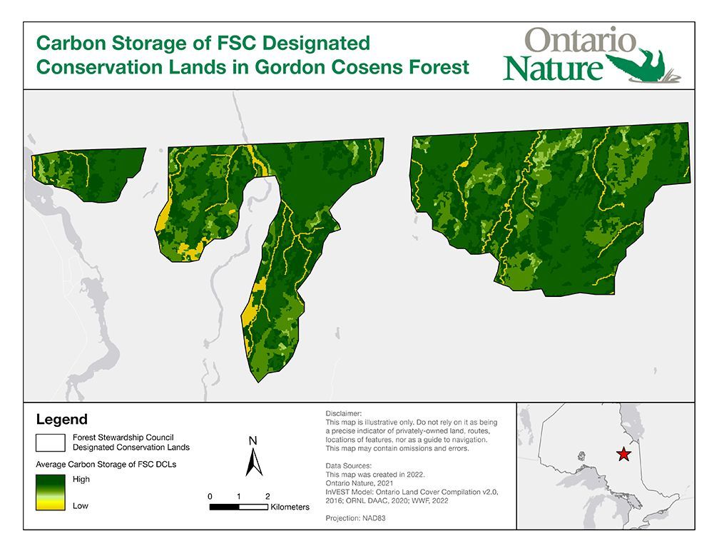 Carbon Storage of FSC Designated Conservation Lands in Gordon Cosens Forest