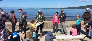 Mallory Vanier leads Ontario Nature outreach with families at Neys Provincial Park