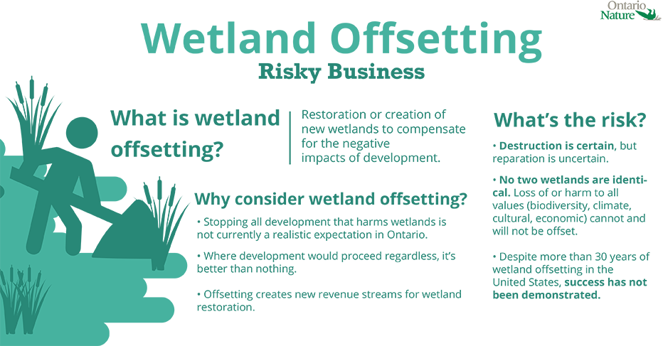 Wetland Offsetting Risky Business, What is wetland offsetting? What's the risk? Infographic