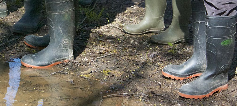 Volunteer’s boots at Sydenham River Nature Reserve 