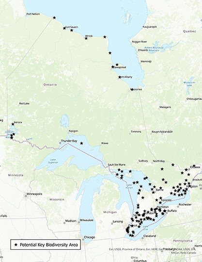 KBA candidate sites in Ontario. These sites are based on initial scoping and more KBA candidates will be added in the future