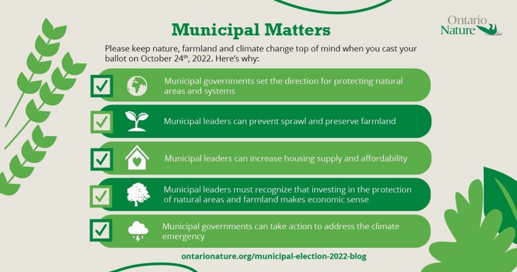 Municipal Election Infographic October 2022 Ontario