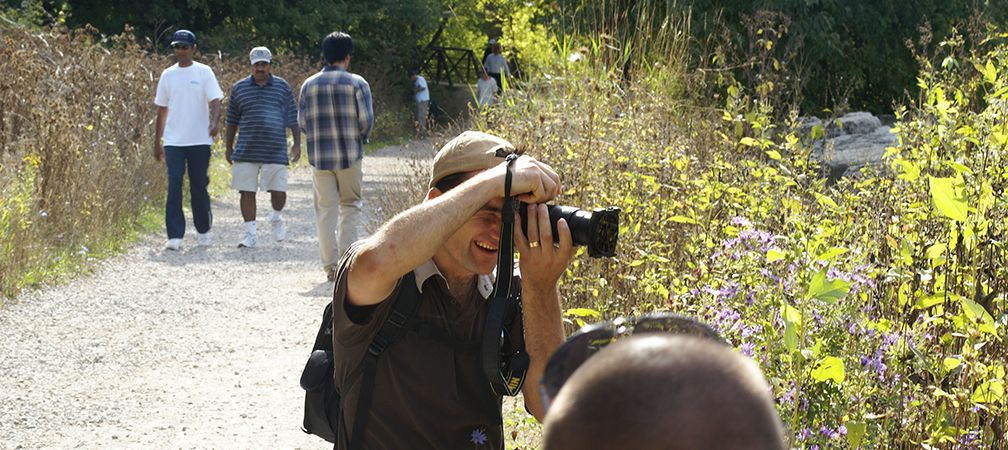 Photographing pollinators at Erindale Park, on the trail, trails