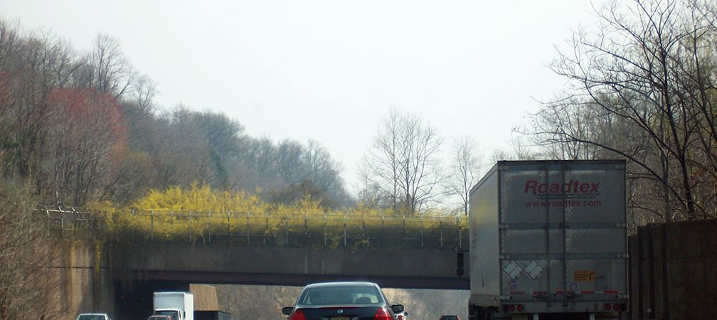 Cars driving below a wildlife overpass