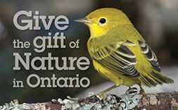 Give the Gift an Ontario Nature Membership https://ontarionature.thankyou4caring.org/donation-pages/the-gift-of-membership