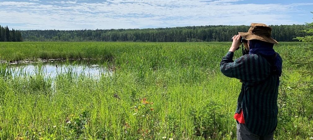Nabish Lake wetlands, northern Ontario, boreal